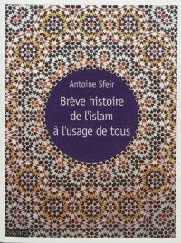 Couverture « BRÈVE HISTOIRE DE L’ISLAM À L’USAGE DE TOUS »