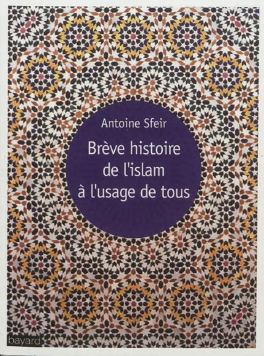 Couverture de « BRÈVE HISTOIRE DE L’ISLAM À L’USAGE DE TOUS »