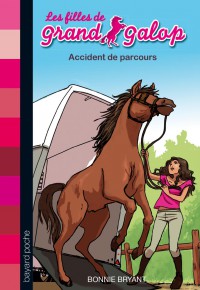 Couverture « ACCIDENT DE PARCOURS – N1 »