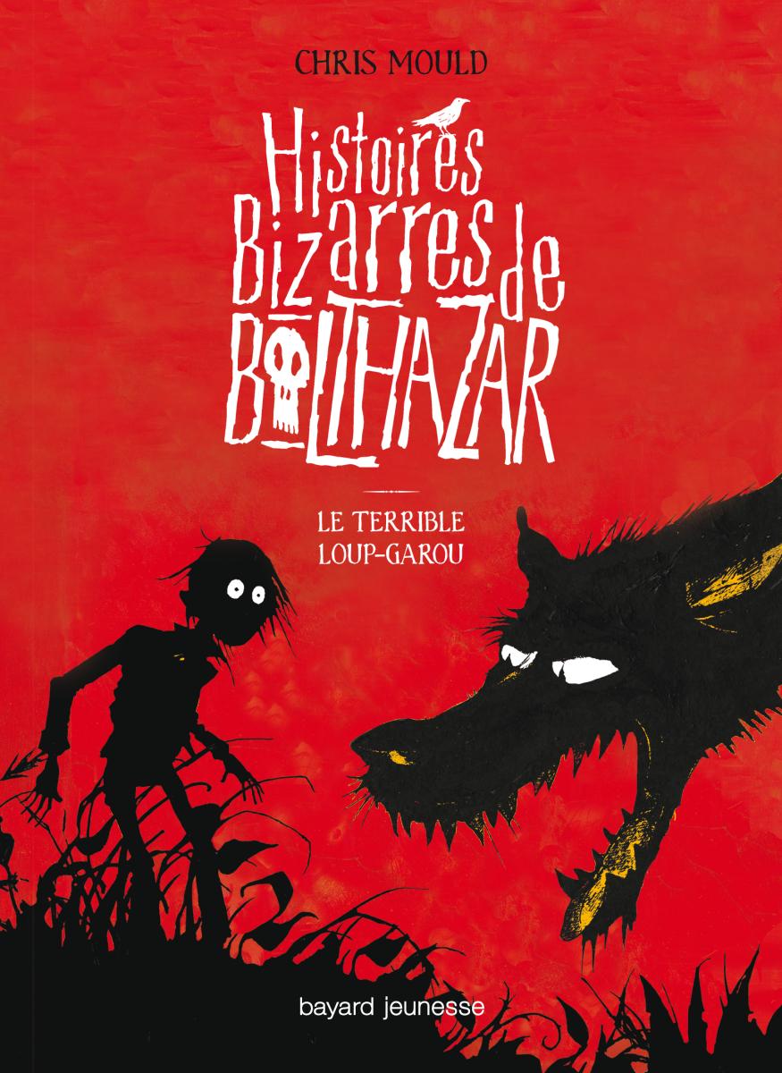 Couverture de « Le terrible loup-garou »