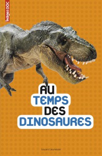 Couverture « AU TEMPS DES DINOSAURES »