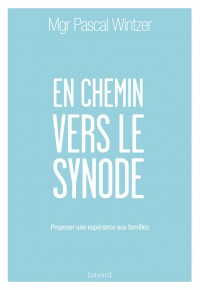 Couverture « EN CHEMIN VERS LE SYNODE »