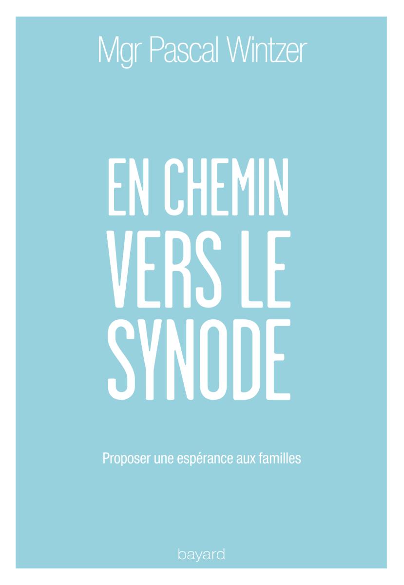 Couverture de « EN CHEMIN VERS LE SYNODE »