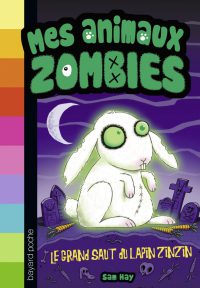 Couverture « LE GRAND SAUT DU LAPIN ZINZIN »