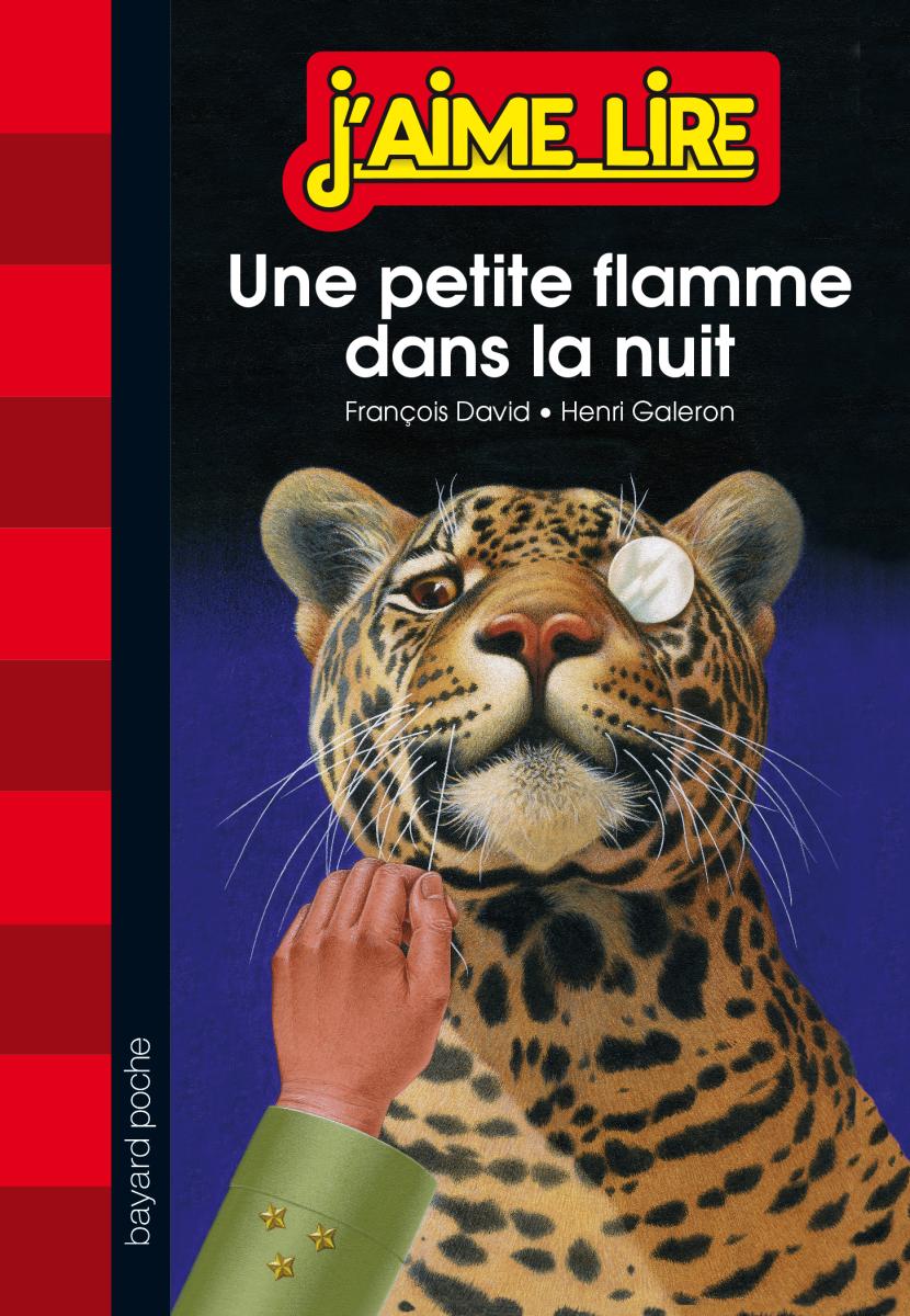 Couverture de « UNE PETITE FLAMME DANS LA NUIT »