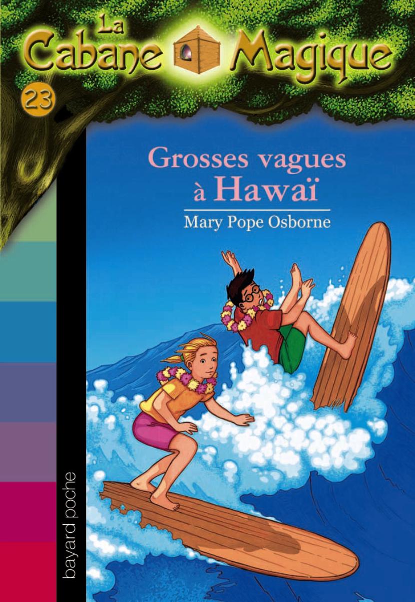 Couverture de « Grosses vagues à Hawaï »