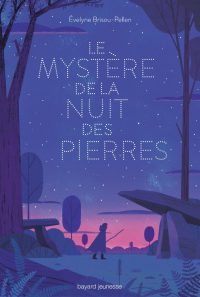 Couverture « Le mystère de la nuit des pierres »