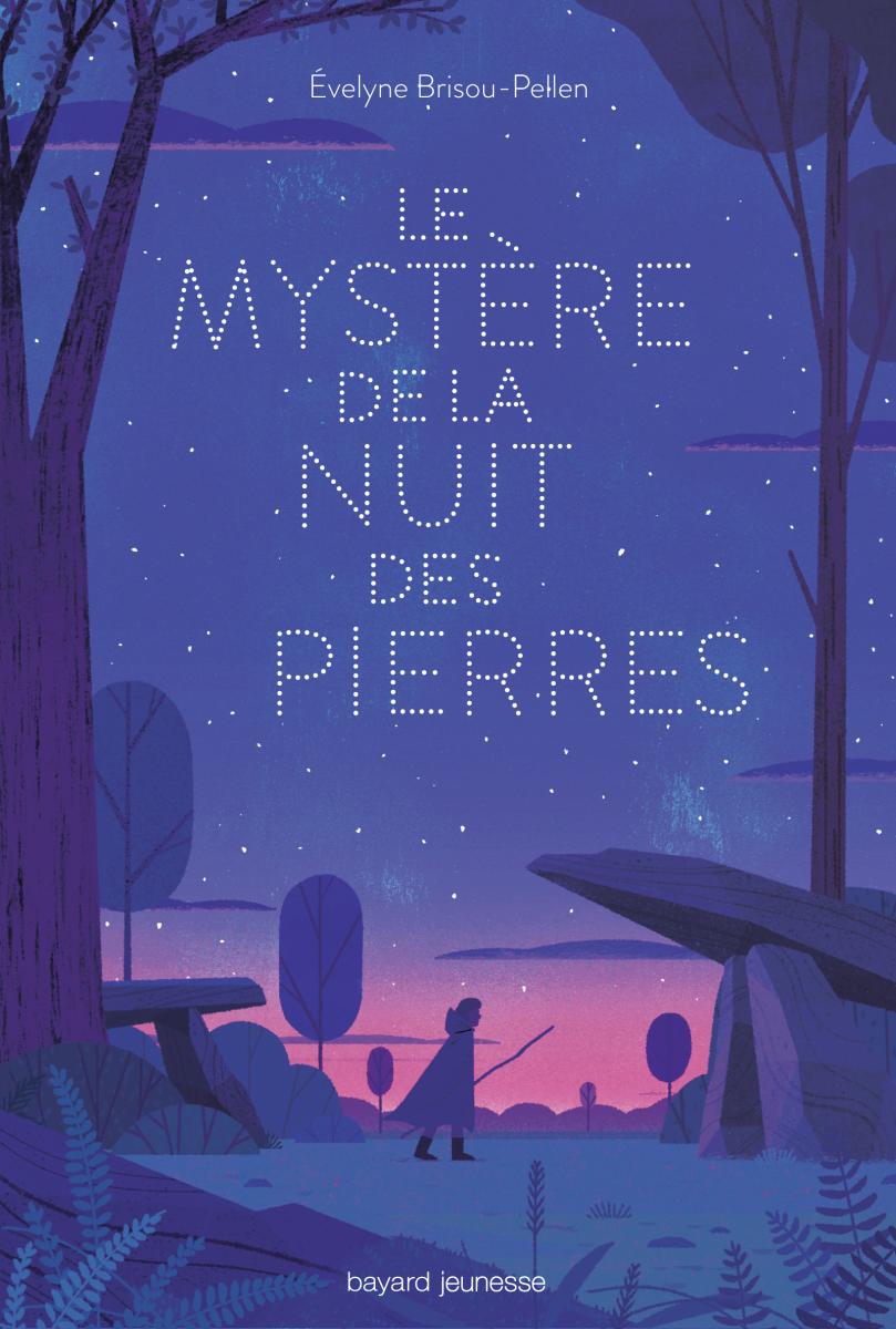 Couverture de « Le mystère de la nuit des pierres »